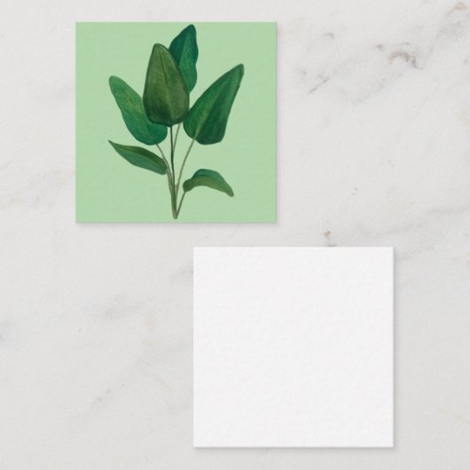 熱帯葉 スクエア名刺 (正面/裏面)