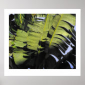 熱帯葉 ポスター (正面)