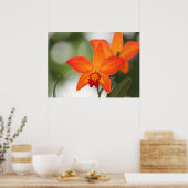 熱帯蘭のポスター ポスター (キッチン)