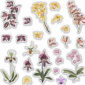 熱帯蘭の花の要素のセット。 シール (正面)