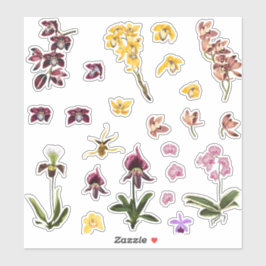 熱帯蘭の花の要素のセット。 シール