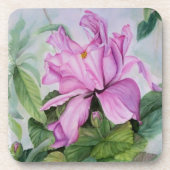 熱帯蘭コースター コースター (正面)