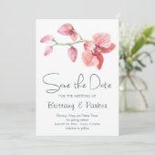 熱帯蘭結婚種 セーブザデート (スタンド正面)