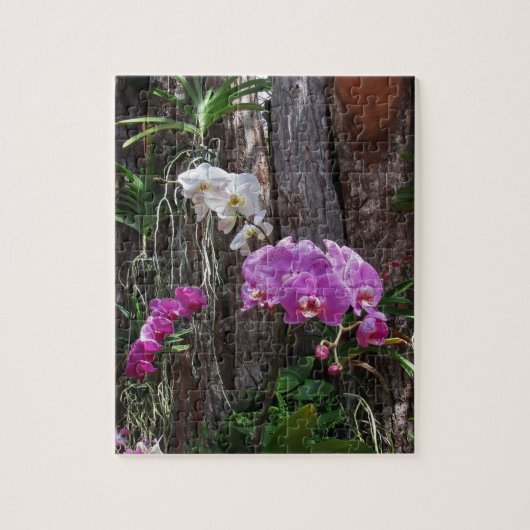 熱帯蘭 ジグソーパズル (縦)