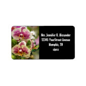 熱帯蘭 ラベル (正面)