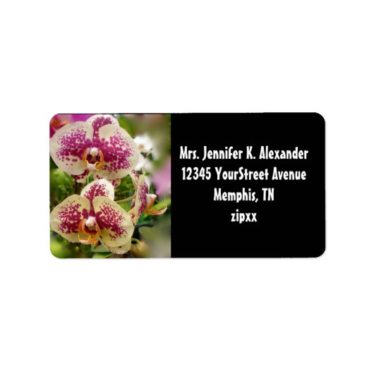 熱帯蘭 ラベル (正面)