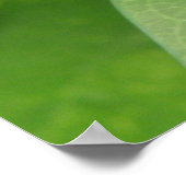 熱帯虹色グリーンバタフライプリント ポスター (角)