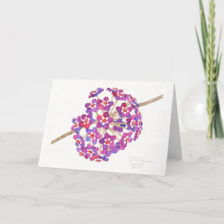 熱帯蜂蜜カード カード