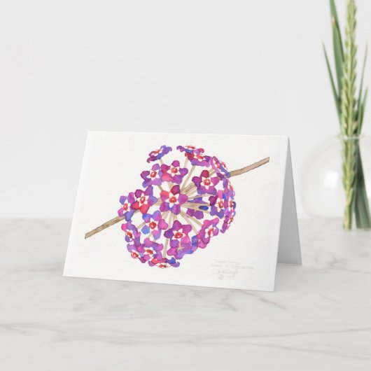 熱帯蜂蜜カード カード (正面)