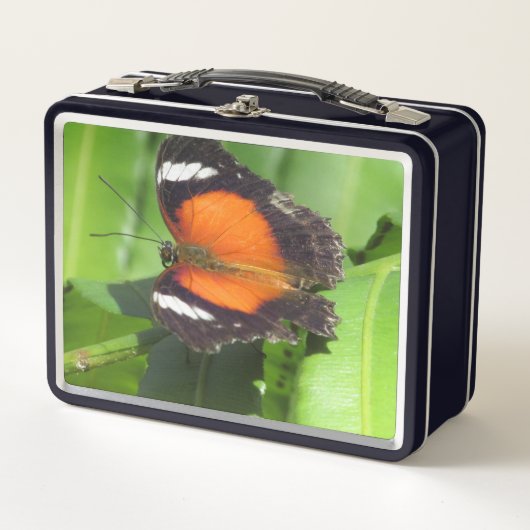 熱帯蝶の弁当箱 メタルランチボックス (正面)
