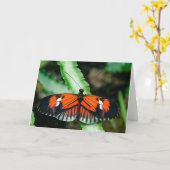 熱帯蝶グリーティングカード カード (黄色い花)