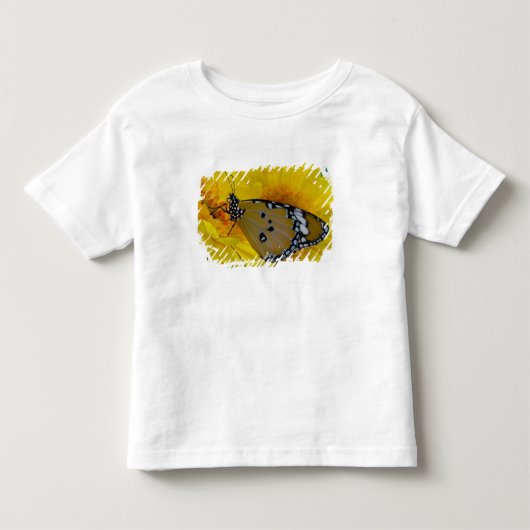 熱帯蝶 トドラーTシャツ (正面)