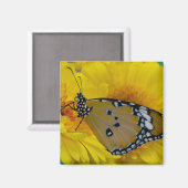 熱帯蝶 マグネット (正面/裏面)