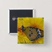 熱帯蝶 缶バッジ (正面&裏面)