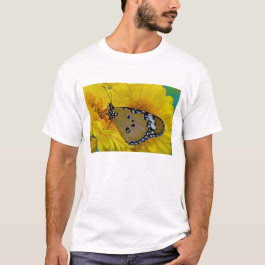 熱帯蝶 Tシャツ (正面)