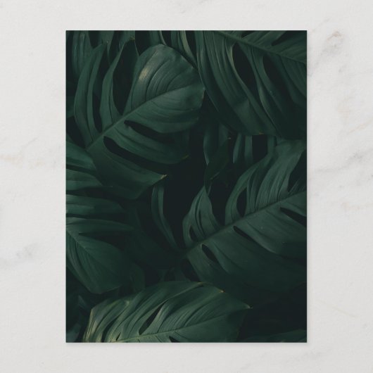 熱帯行先結婚式詳細 エンクロージャーカード (裏面)