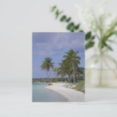 熱帯設定 ポストカード (スタンド正面)