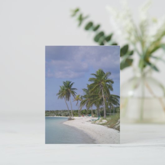 熱帯設定 ポストカード (スタンド正面)