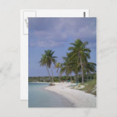 熱帯設定 ポストカード (正面/裏面)