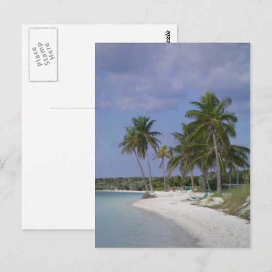 熱帯設定 ポストカード (正面/裏面)