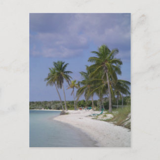 熱帯設定 ポストカード