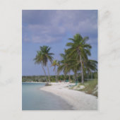 熱帯設定 ポストカード (正面)