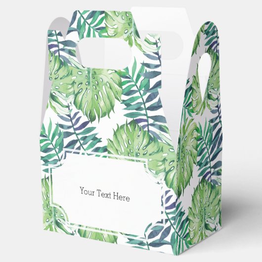 熱帯諸島植物モンステラデリシオーサ フェイバーボックス (オープン)