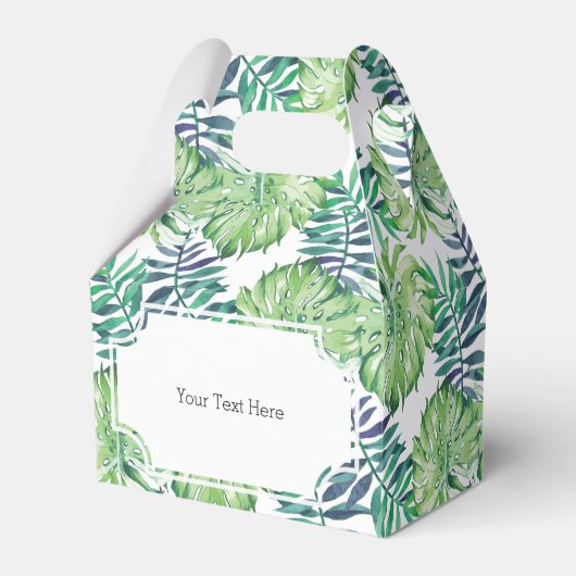 熱帯諸島植物モンステラデリシオーサ フェイバーボックス (正面サイド)