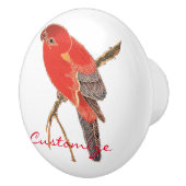 熱帯赤オウムサンダー_コーブ セラミックノブ (右)