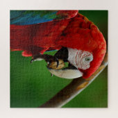 熱帯赤オウム ジグソーパズル (横)