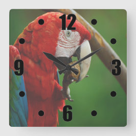 熱帯赤オウム スクエア壁時計