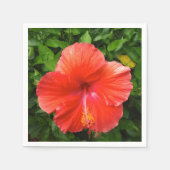 熱帯赤ハイビスカスボニータ春フロリダ スタンダードカクテルナプキン (正面)