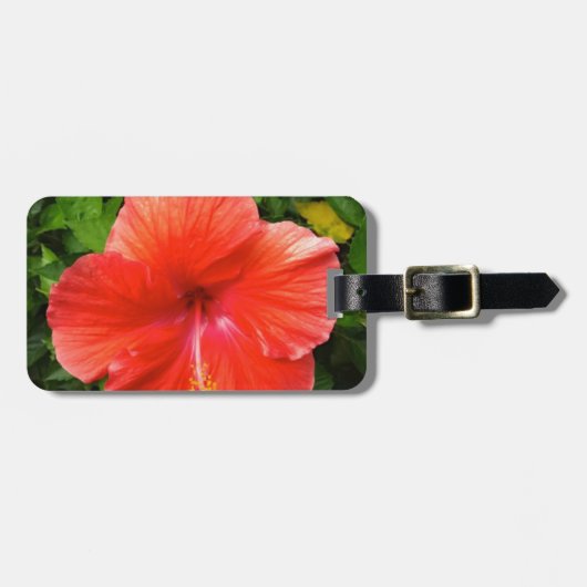 熱帯赤ハイビスカスボニータ春フロリダ ラゲッジタグ (正面横)