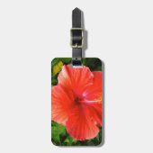 熱帯赤ハイビスカスボニータ春フロリダ ラゲッジタグ (正面縦)