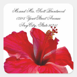 熱帯赤ハイビスカス住所 シール