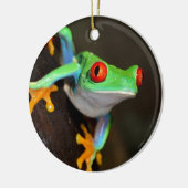 熱帯赤目蛙 – Agalychnis Calidras セラミックオーナメント (左)