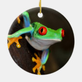 熱帯赤目蛙 – Agalychnis Calidras セラミックオーナメント (裏面)