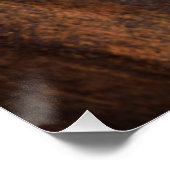 熱帯赤目蛙 – Agalychnis Calidras ポスター (コーナー)