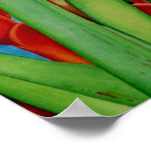 熱帯赤 ポスター (角)