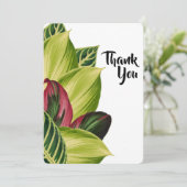 熱帯離れサンキューカード サンキューカード (スタンド正面)