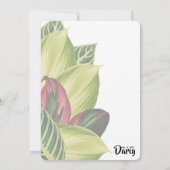 熱帯離れサンキューカード サンキューカード (裏面)