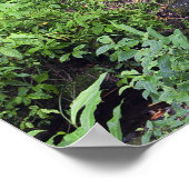 熱帯雨林にはシダや渓流があり ポスター (角)