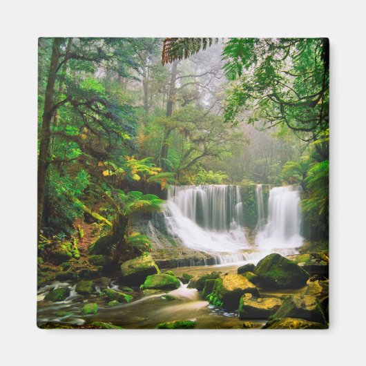 熱帯雨林に囲まれた蹄鉄の秋 マグネット (正面)