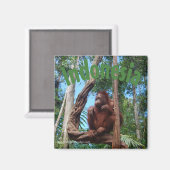 熱帯雨林に棲むかわいいオランウータン マグネット (正面/裏面)