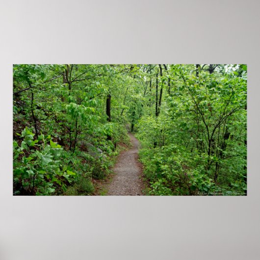 . .熱帯雨林のポスターに平和的にハイキング ポスター (正面)