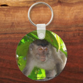 熱帯雨林のマケモンキーチェーン キーホルダー (正面)