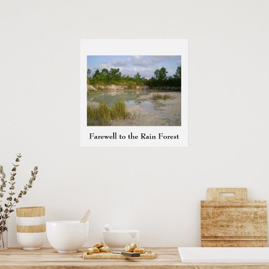 熱帯雨林の保全ポスター ポスター (キッチン)