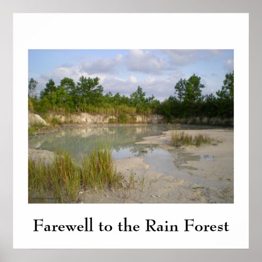 熱帯雨林の保全ポスター ポスター (正面)
