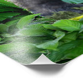 熱帯雨林の保護者 フォトプリント            (角)