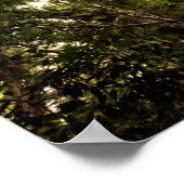 熱帯雨林の大樹川 ポスター (角)